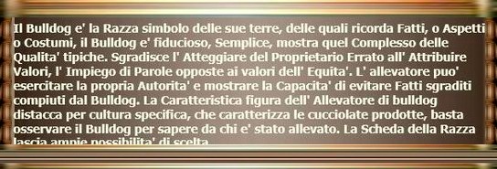 michele abbondandolo
