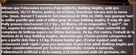 1 Bulldog Anglais