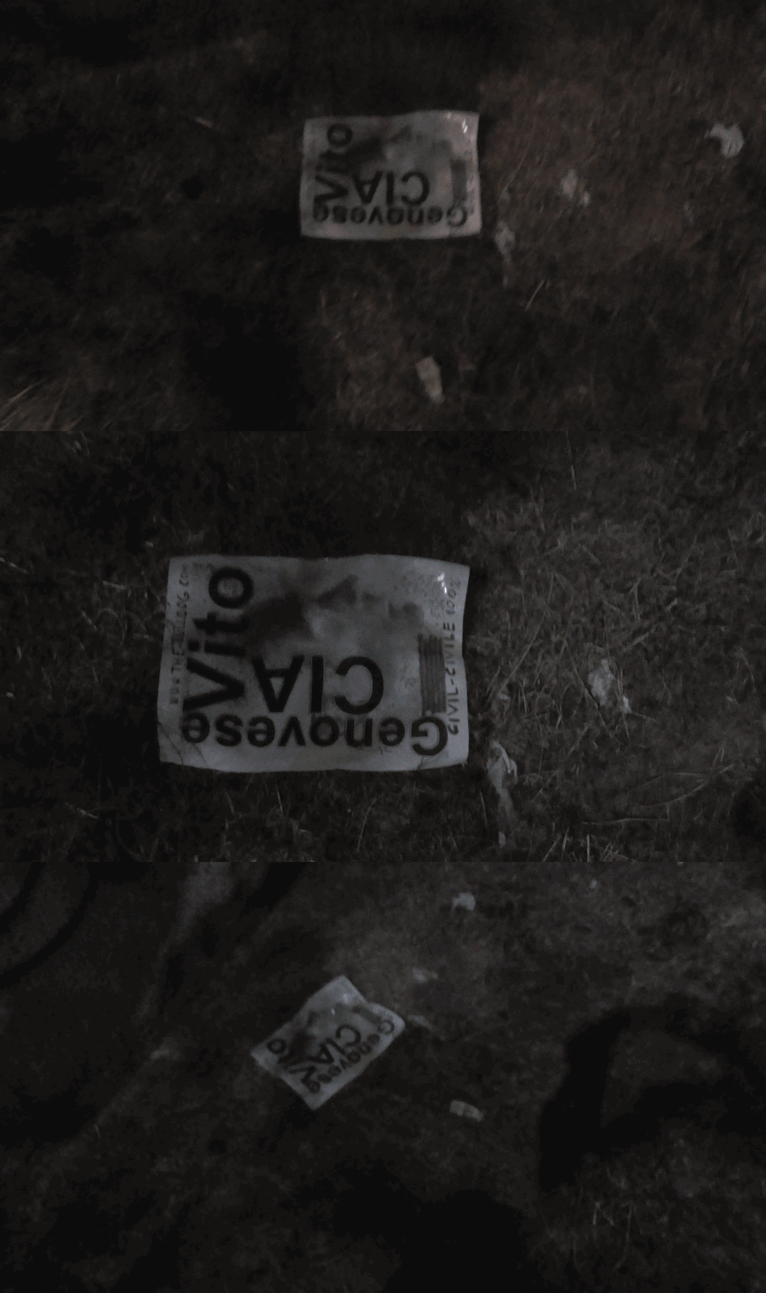 Langues-Secretes-70.gif