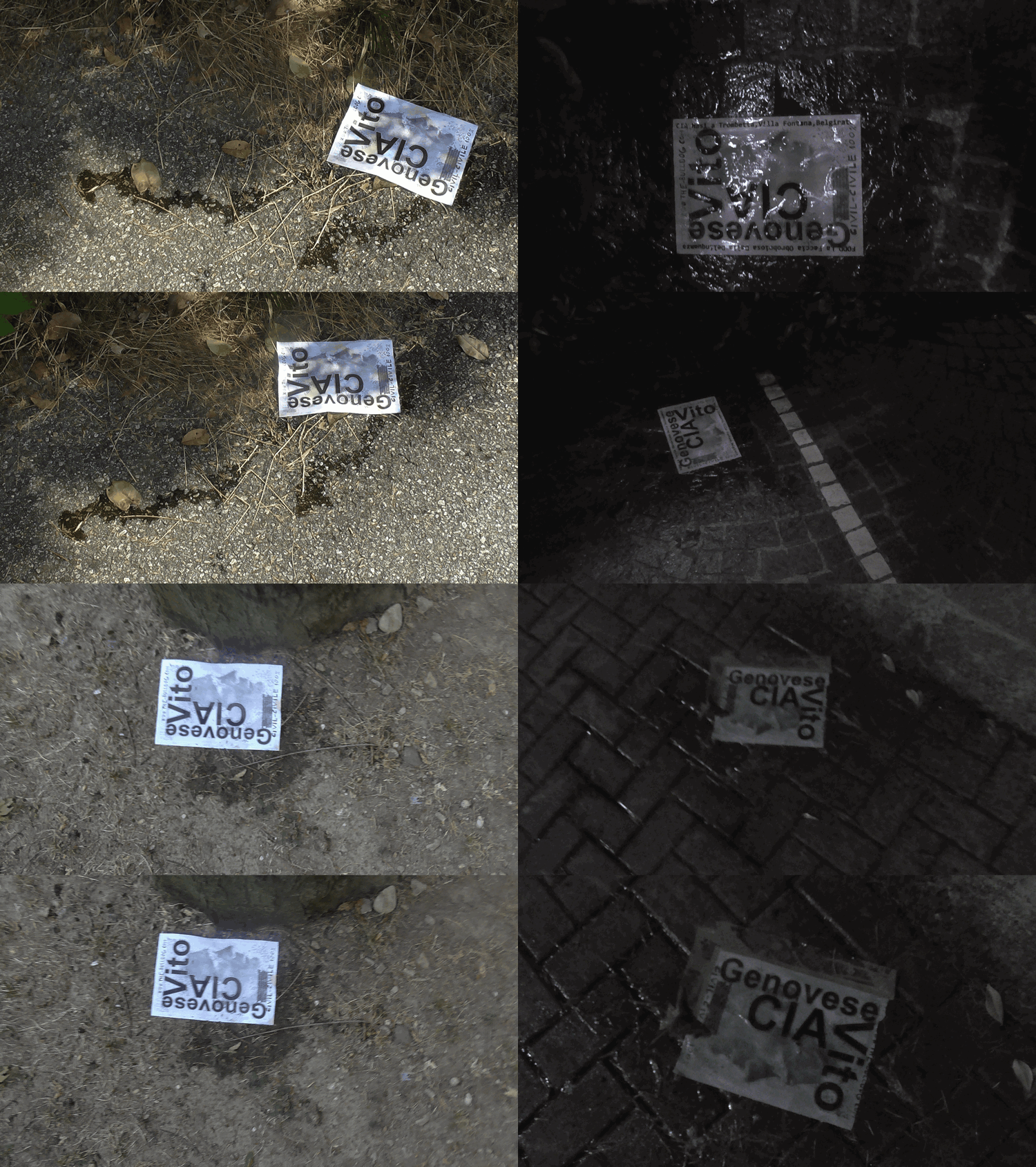 Langues-Secretes-70.gif