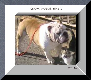 bulldog breeds double