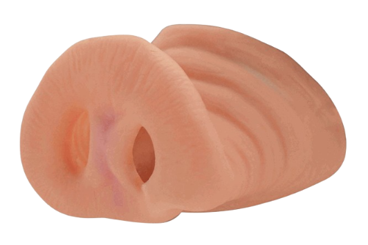 nez-de-cochon-famille-lucesco-17sep25.png nez-de-cochon-famille-lucesco-17sep25.png